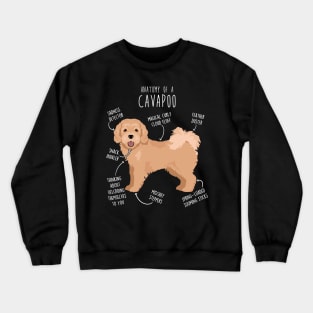 Cavapoo Dog Anatomy Crewneck Sweatshirt